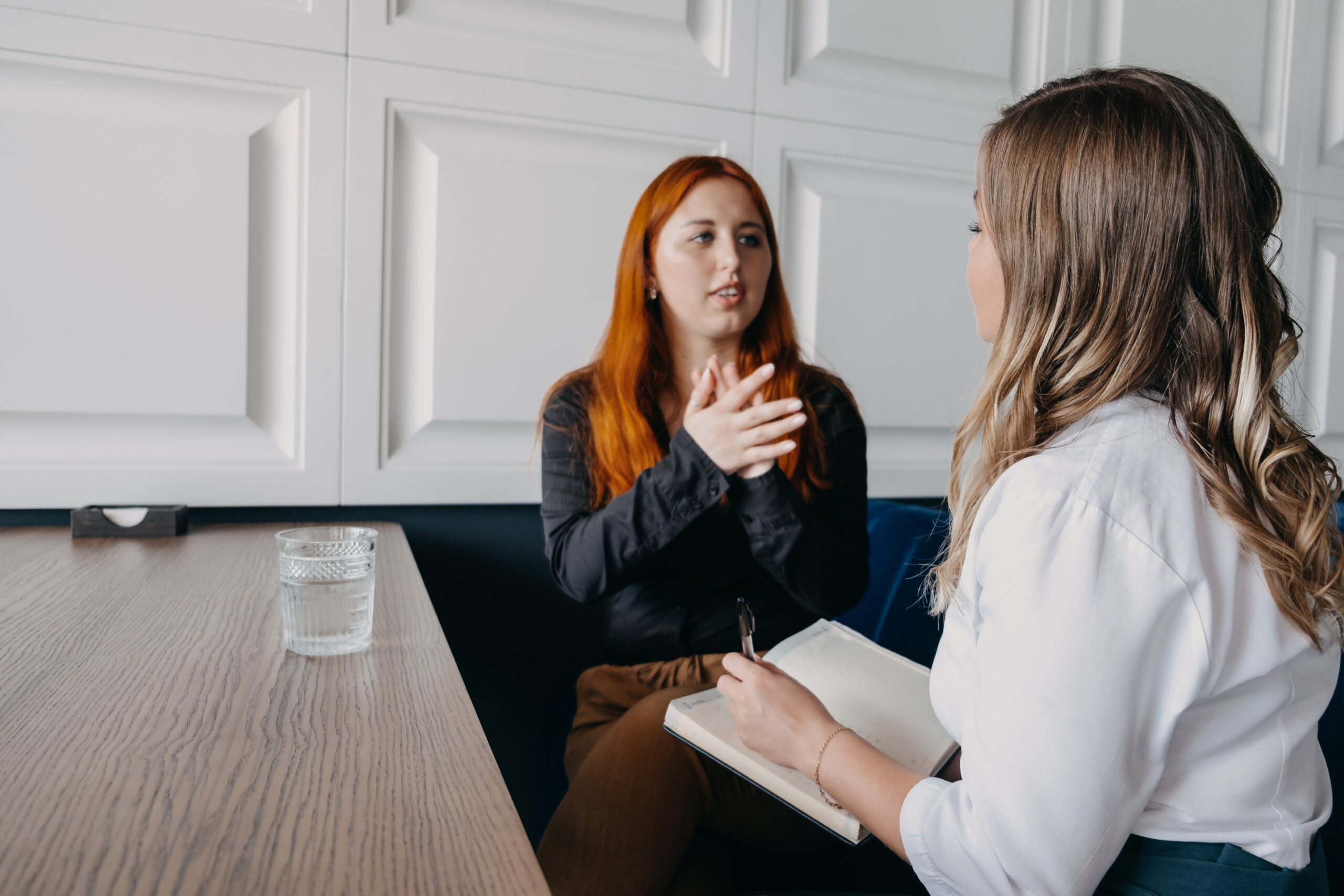 Mental health concept. Communication session of woman psychologist and client. Psychotherapy or talk therapy as help people with variety of mental illnesses and emotional difficulties Mental health concept. Communication session of woman psychologist and client. Psychotherapy or talk therapy as help people with variety of mental illnesses and emotional difficulties.