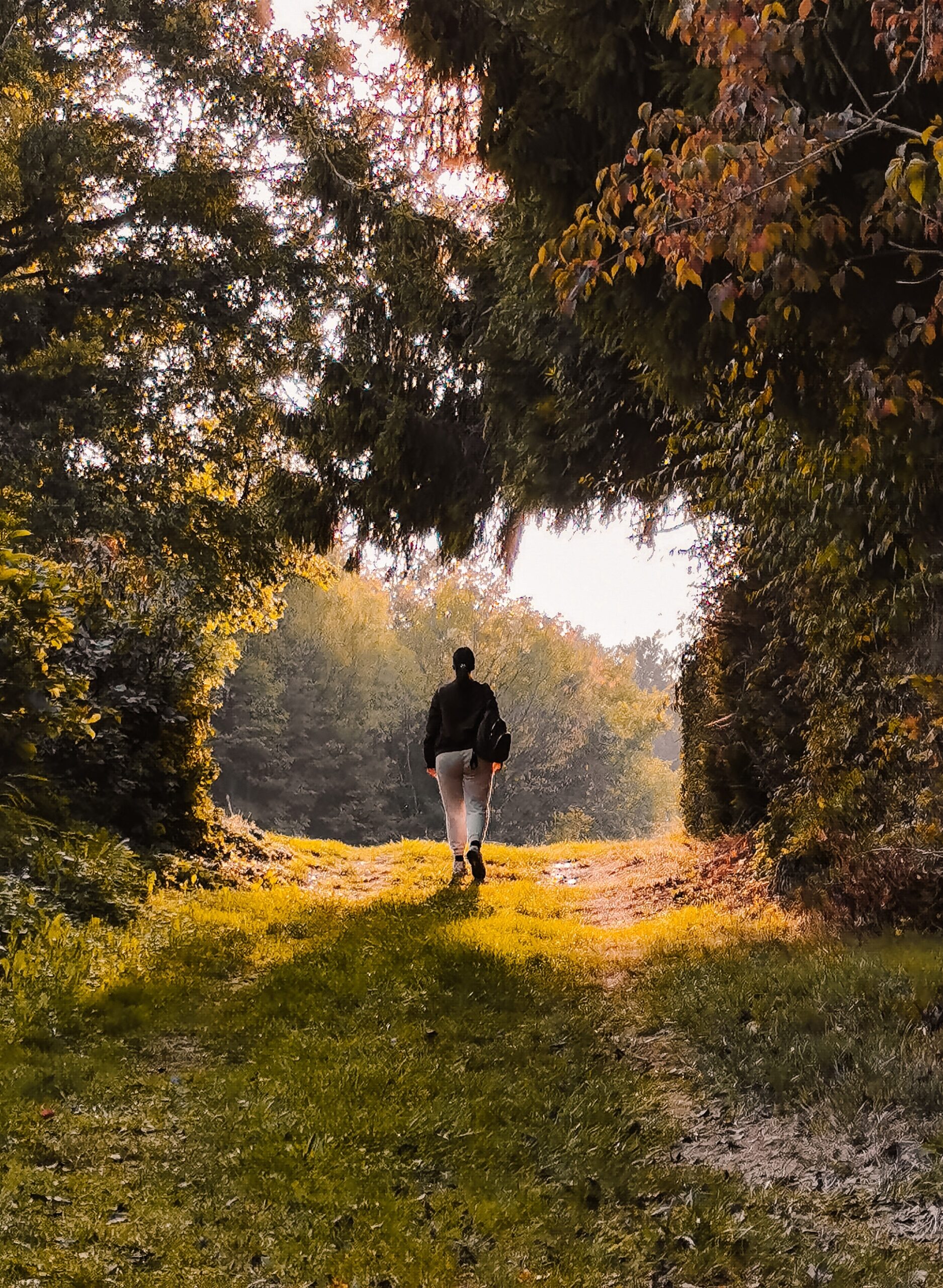 nature